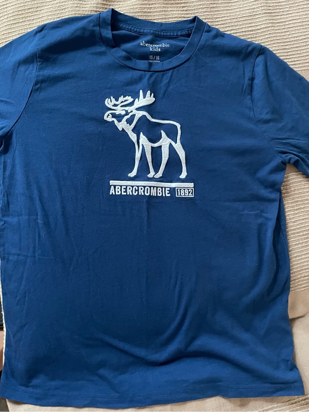 abercrombie kids navy blue logo tee